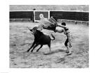 Matador fighting with a bull