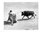 High angle view of a bullfighter with a bull in a bullring, Madrid, Spain