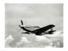 Low angle view of a military airplane in flight, F-51 Mustang