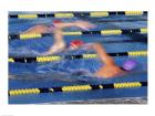 Rear view of three swimmers racing in a swimming pool