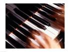 Close-up of a person's hands playing a piano