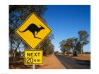 Kangaroo crossing sign, Australia