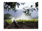 Tractor in a field, Napa Valley, California, USA