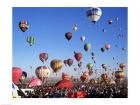 Low angle view of hot air balloons rising, Albuquerque International Balloon Fiesta, Albuquerque, New Mexico, USA