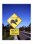 Close-up of a crossing sign on the road side, Australia