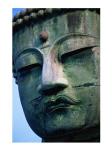 Close-up of a statue of Buddha, Daibutsu, Kamakura, Tokyo, Japan