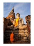 Monk praying in front of a statue of Buddha