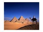 Riding a camel near pyramids, Giza Pyramids, Giza, Egypt