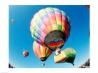 Low angle view of hot air balloons in the sky, Albuquerque, New Mexico, USA