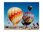 Hot air balloons taking off, Albuquerque International Balloon Fiesta, Albuquerque, New Mexico, USA