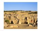 Rock formations in the desert, The Pinnacles Desert, Nambung National Park, Australia