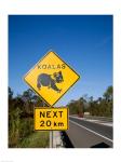 Koala sign on the road, Queensland, Australia