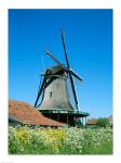 Windmill and Cyclists, Zaanse Schans, Netherlands