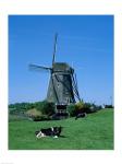 Windmill and Cows, Wilsveen, Netherlands