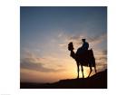 Silhouette of a man on a camel, Giza, Egypt