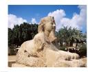 Alabaster Sphinx, Memphis, Egypt