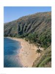 High angle view of a bay, Hanauma Bay, Oahu, Hawaii, USA