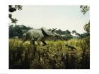 Triceratops with a tyrannosaur and a torosaurus in a forest