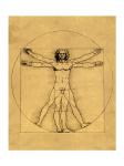 Proportions of the Human Figure - Vitruvian Man