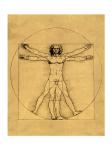 Proportions of the Human Figure - Vitruvian Man