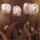 Sepia Tulips II