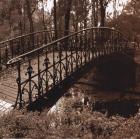Wrought Iron Bridge II