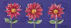 3 Pink Daisies