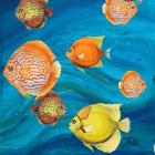 Aquatic Sea Life II