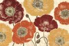A Poppy's Touch I Spice