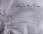 Aimer IV