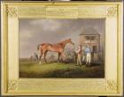 Portrait of 'Quiz', the property of Lord Rous, after his last race at Newmarket (oil on canvas)