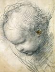 Head of a Cherub (black chalk and charcoal on paper)