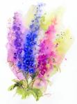 Delphinium, 2016, (watercolor)