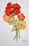 Geranium and Nasturtiums,2014,watercolour