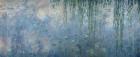 Waterlilies: Morning with Weeping Willows, detail of central section, 1914-18 (oil on canvas) (see also 71320, 71322)