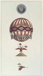 Design for a balloon in honour of Napoleon's coronation, 1804 (engraving)