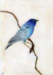 Little Blue, 2012, (oil pastel on paper)