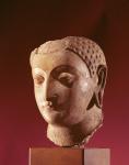 Head of Buddha, c.5th century (stucco with gesso & traces of paint)