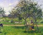 The Wheelbarrow, Orchard, c.1881 (oil on canvas)