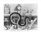 Fable of the Snake and the Files (engraving) (b/w photo)
