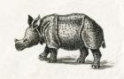 Indian rhinoceros, or greater one-horned rhinoceros, Rhinoceros unicornis, from an 18th century print (engraving)