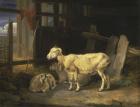 Heath Ewe and Lambs, 1810 (oil on canvas)