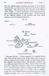 Map of the Galapagos Archipelago, 1844 (engraving) (b/w photo)