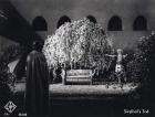 Still from the film "Die Nibelungen: Siegfried" with Paul Richter, 1924 (b/w photo)