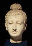 Head of a Buddha, Greco-Buddhist style, from Hadda (stucco)