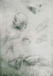 Studies for the Figure of Bramante (1444-1515) (pencil on paper) (b/w photo)