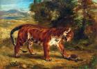 Tiger with Tortoise, 1862 (oil on canvas)