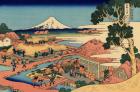 The Tea plantation of Katakura in the Suruga Province, c.1830 (woodblock print)