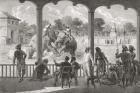 An elephant fight, Baroda, India in the 19th century.