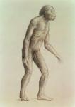 Australopithecus Africanus (pencil on paper)